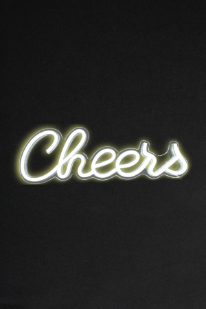 LED Neonschild "Cheers" (144) – Mit Fernbedienung – Stimmungsvolle Deko für Partys