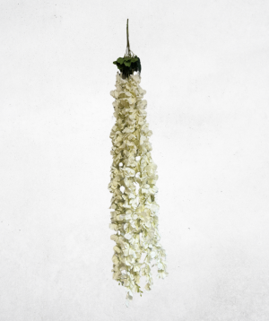 Kunstblume Wisteria Warm-Weiss (043-3) – langlebige künstliche Dekoblume aus Textilmaterial
