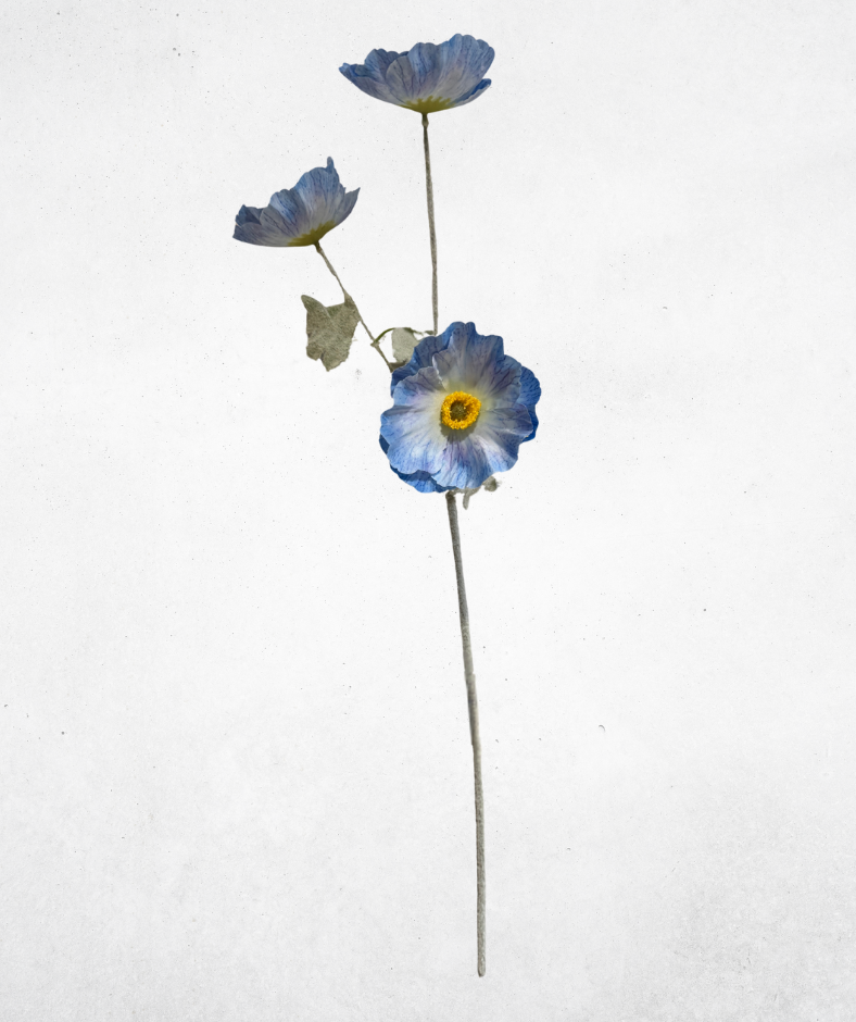 Kunstblume Mohnblume 3-Köpfig Blau (045-3) - langlebige künstliche Dekoblume aus Kunststoff